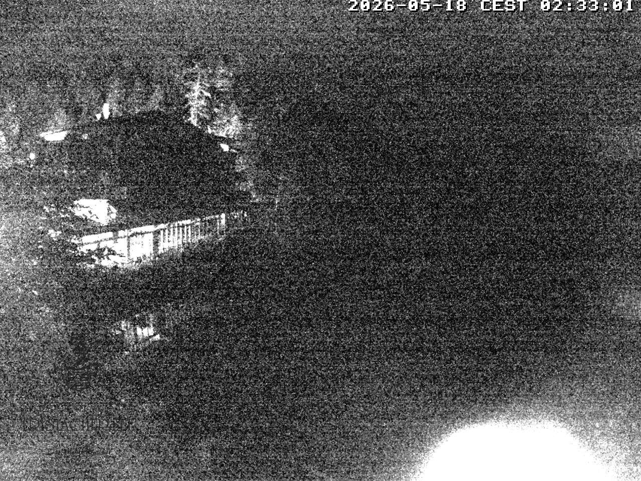Archiv Foto Webcam Blick über den Tristachersee