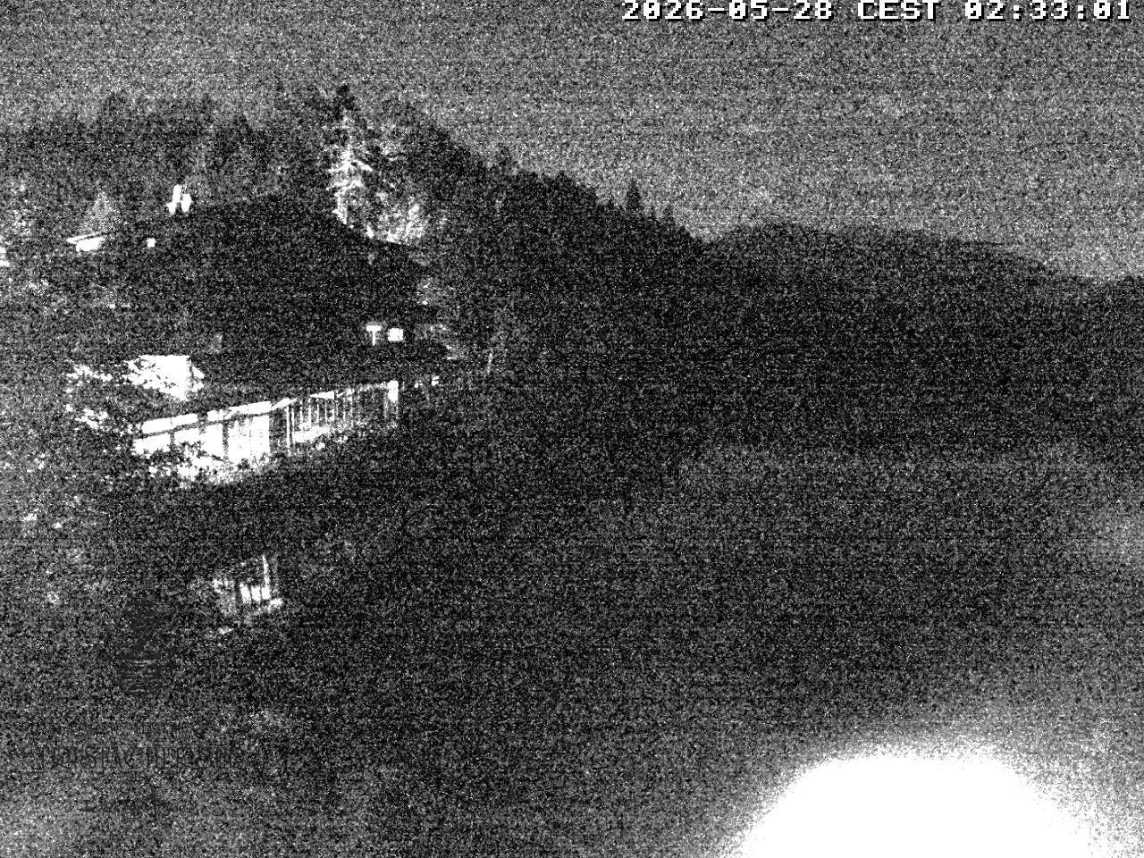 Archiv Foto Webcam Blick über den Tristachersee