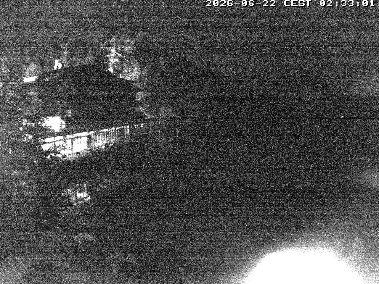 Archiv Foto Webcam Blick über den Tristachersee