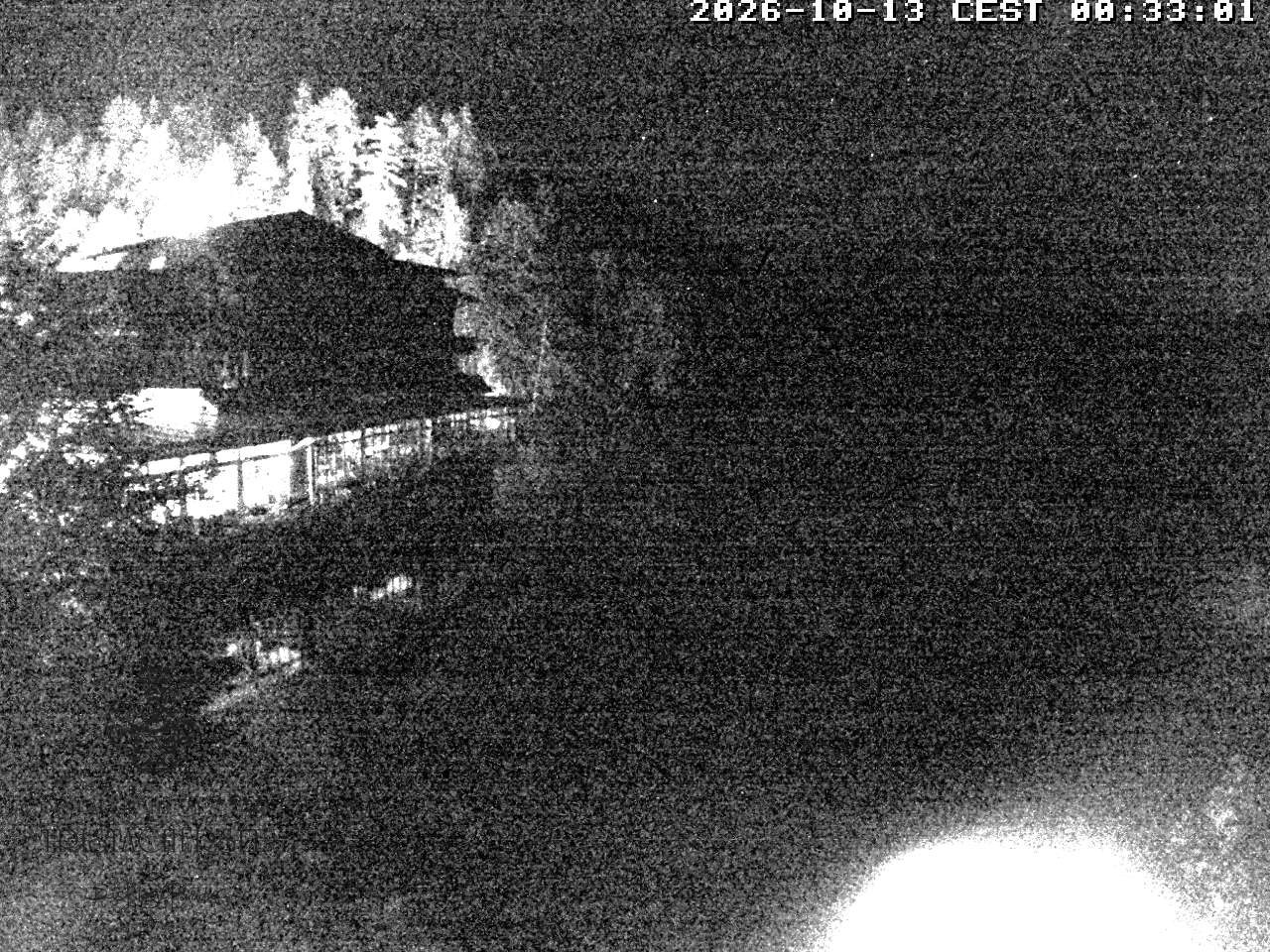 Archiv Foto Webcam Blick über den Tristachersee