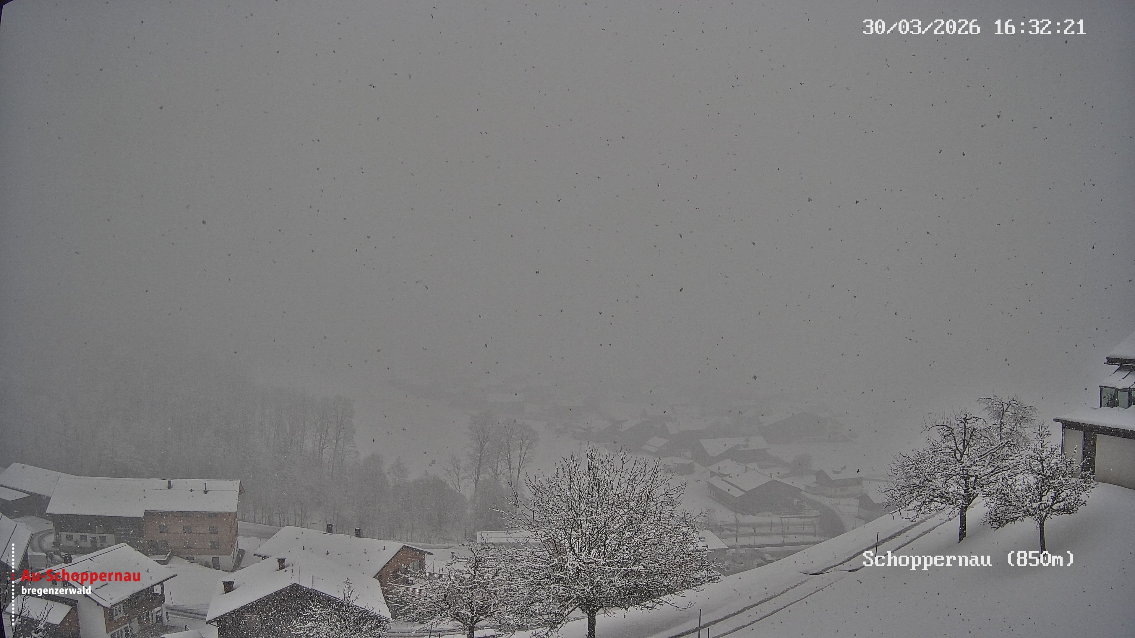 Archiv Foto Webcam Schoppernau im Bregenzerwald