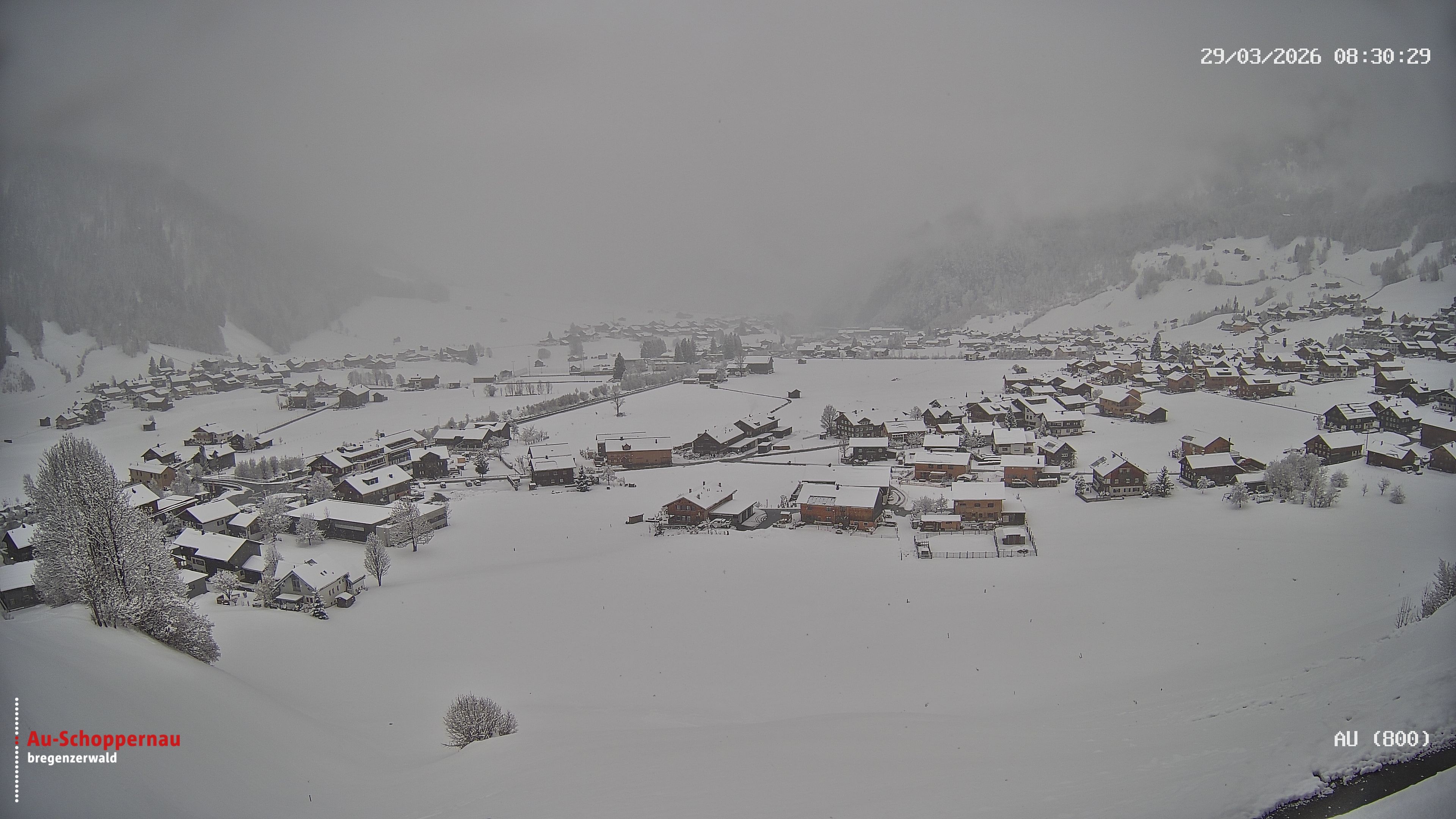 Archiv Foto Webcam Au bei Schoppernau