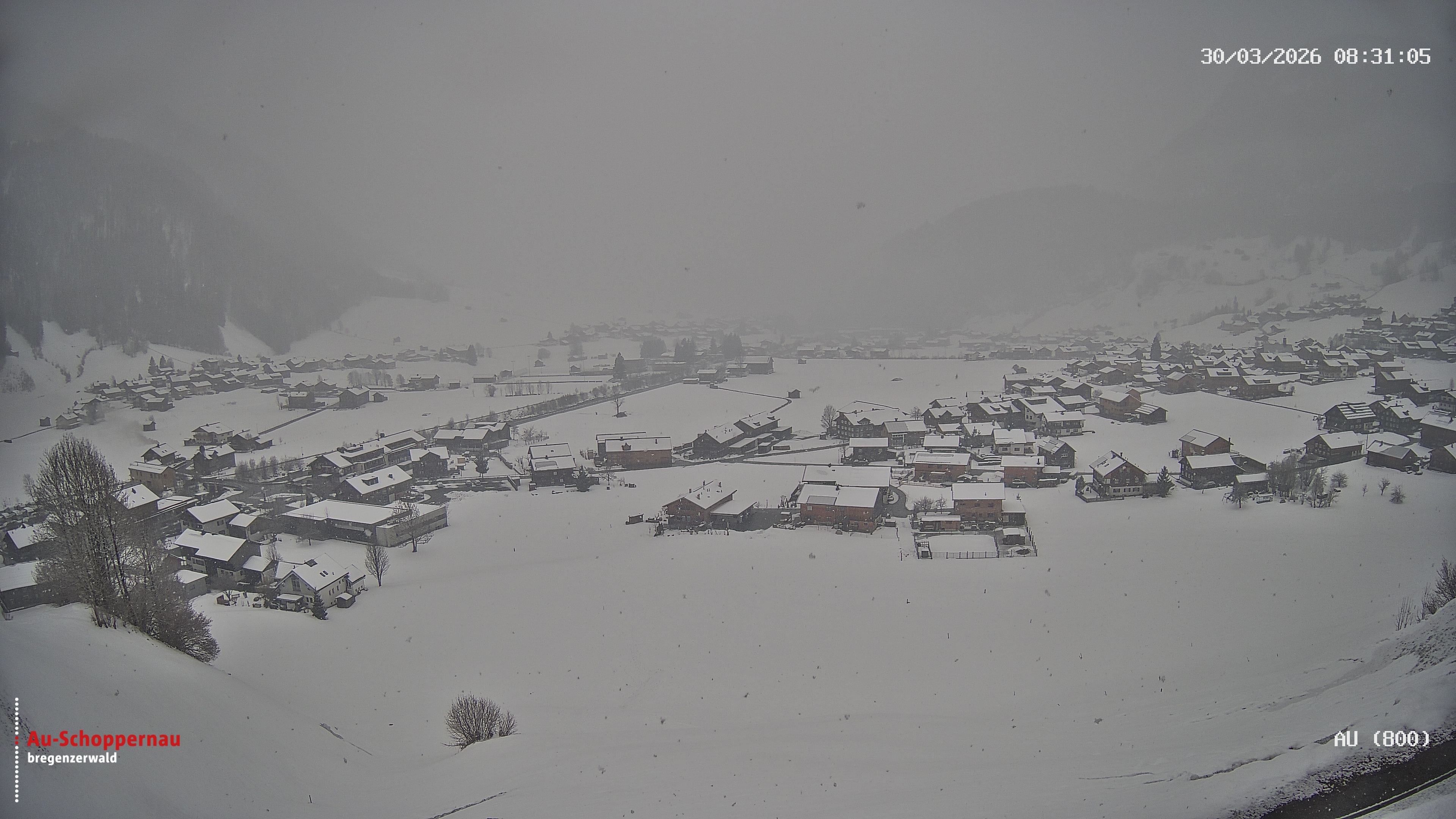 Archiv Foto Webcam Au bei Schoppernau
