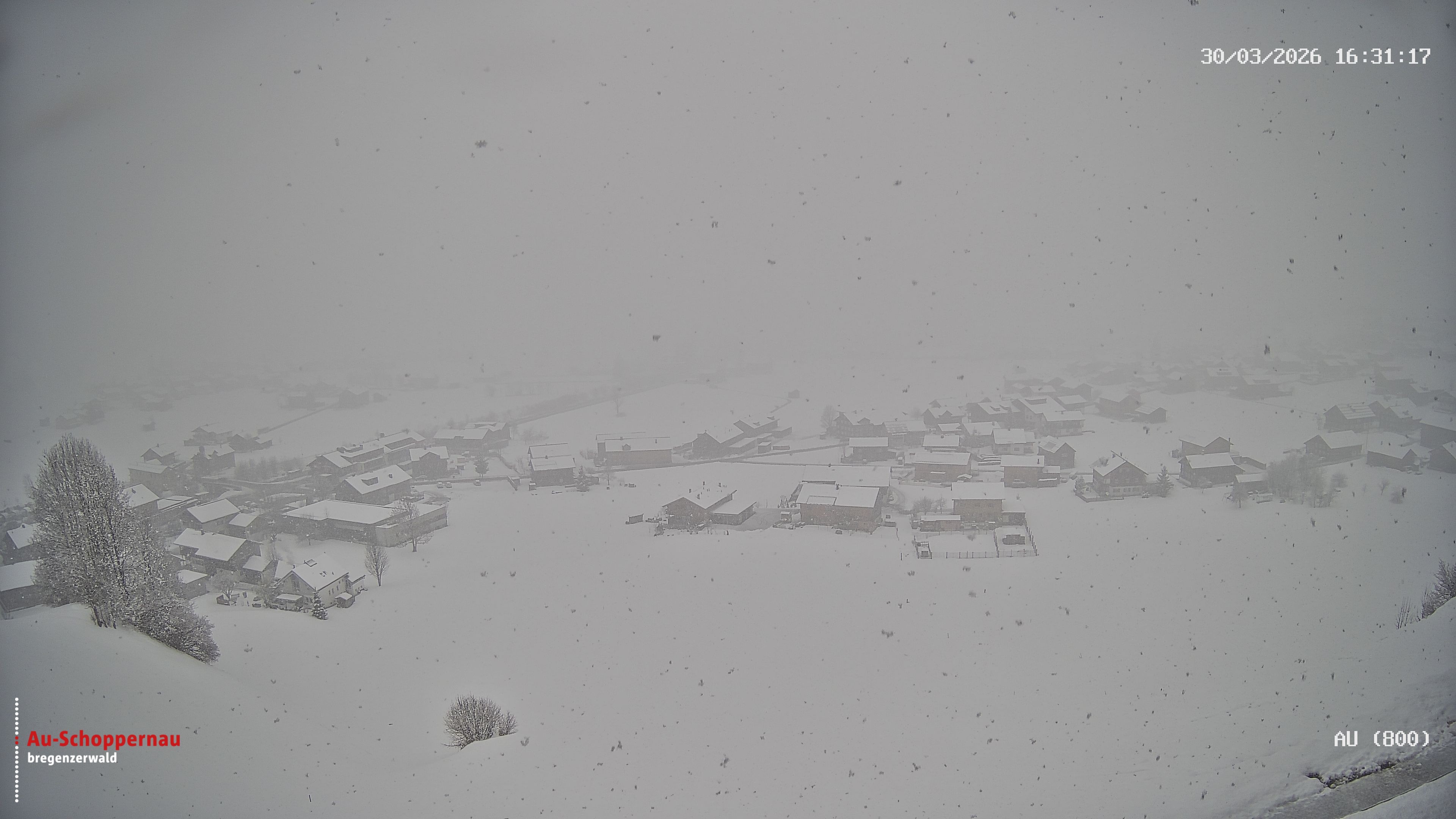 Archiv Foto Webcam Au bei Schoppernau