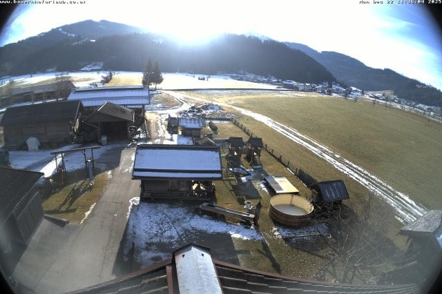 Archiv Foto Webcam Bauernhof Arnoldgut in Altenmarkt