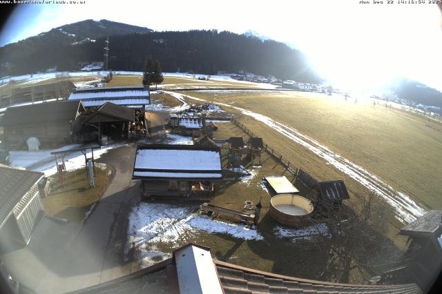 Archiv Foto Webcam Bauernhof Arnoldgut in Altenmarkt