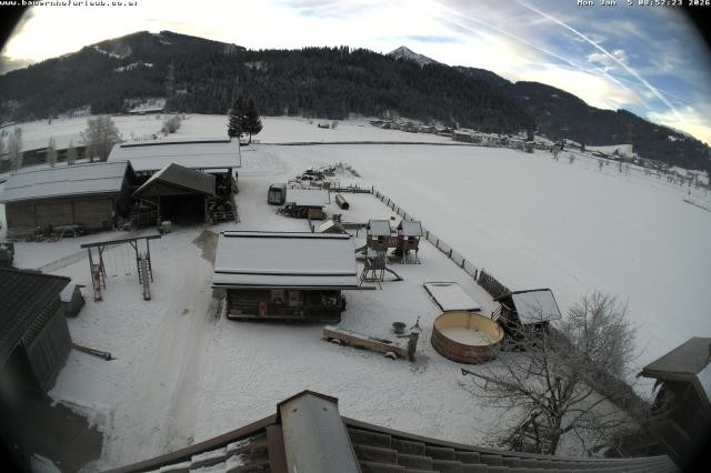 Archiv Foto Webcam Bauernhof Arnoldgut in Altenmarkt