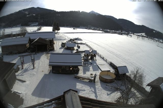 Archiv Foto Webcam Bauernhof Arnoldgut in Altenmarkt