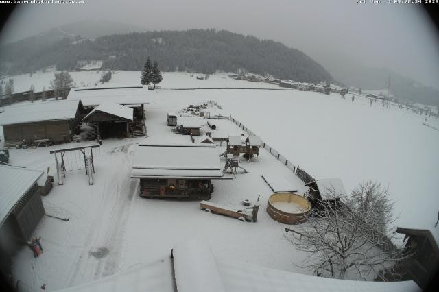 Archiv Foto Webcam Bauernhof Arnoldgut in Altenmarkt