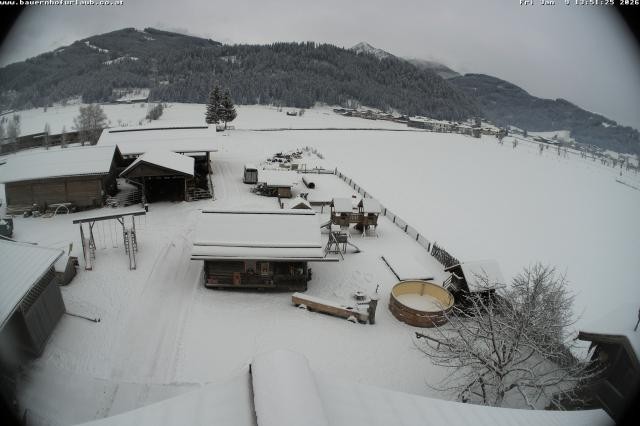 Archiv Foto Webcam Bauernhof Arnoldgut in Altenmarkt