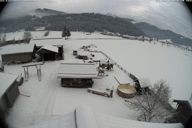 Archiv Foto Webcam Bauernhof Arnoldgut in Altenmarkt