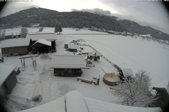 Archiv Foto Webcam Bauernhof Arnoldgut in Altenmarkt