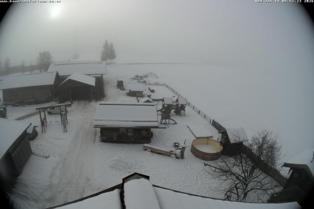 Archiv Foto Webcam Bauernhof Arnoldgut in Altenmarkt