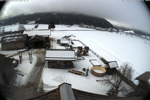 Archived image Webcam Organic farm Arnoldgut in Altenmarkt