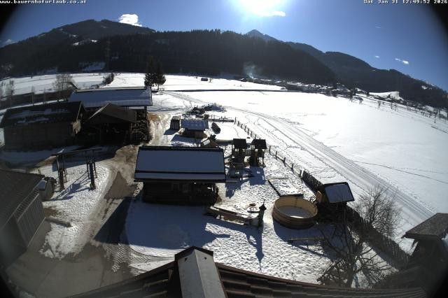 Archived image Webcam Organic farm Arnoldgut in Altenmarkt