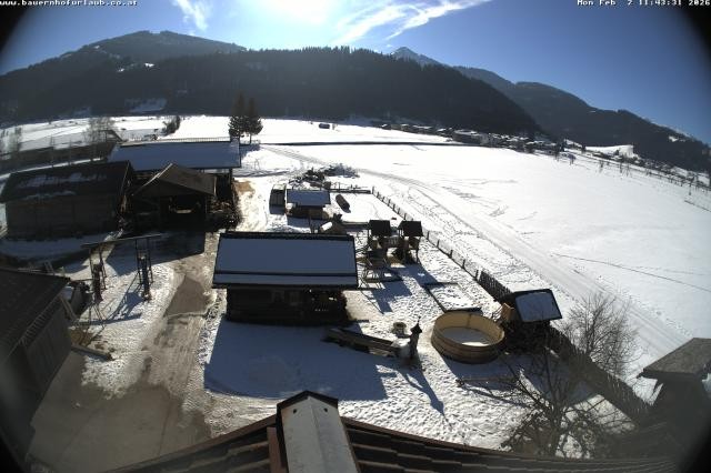 Archiv Foto Webcam Bauernhof Arnoldgut in Altenmarkt