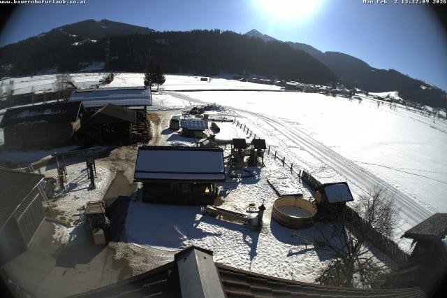 Archiv Foto Webcam Bauernhof Arnoldgut in Altenmarkt