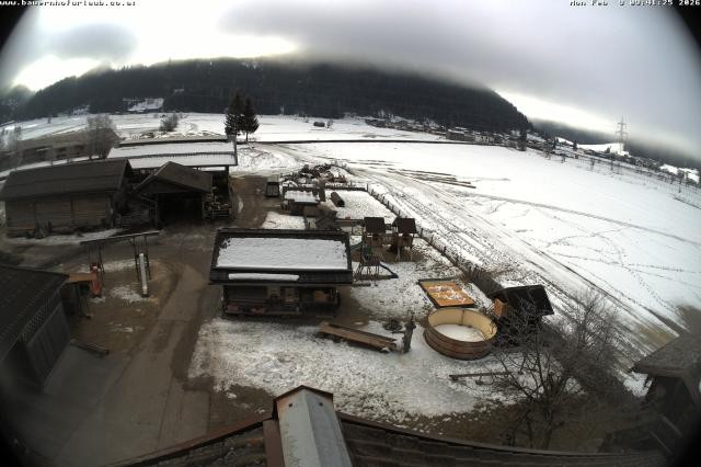 Archiv Foto Webcam Bauernhof Arnoldgut in Altenmarkt