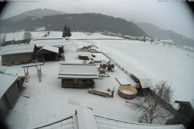 Archiv Foto Webcam Bauernhof Arnoldgut in Altenmarkt