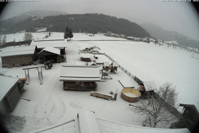 Archiv Foto Webcam Bauernhof Arnoldgut in Altenmarkt