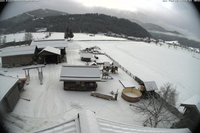 Archiv Foto Webcam Bauernhof Arnoldgut in Altenmarkt
