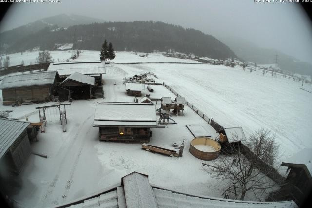 Archiv Foto Webcam Bauernhof Arnoldgut in Altenmarkt