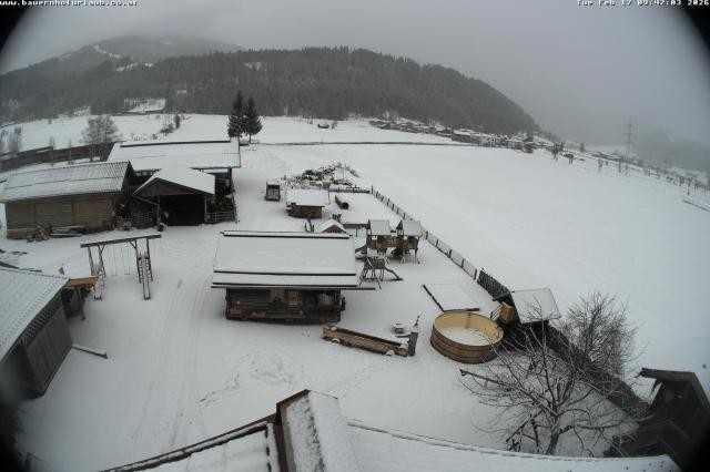 Archiv Foto Webcam Bauernhof Arnoldgut in Altenmarkt