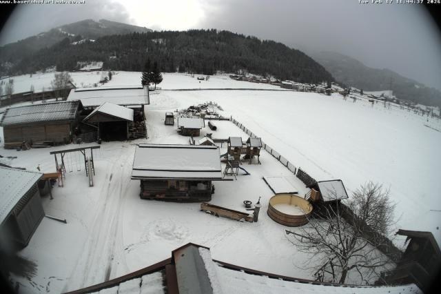 Archiv Foto Webcam Bauernhof Arnoldgut in Altenmarkt