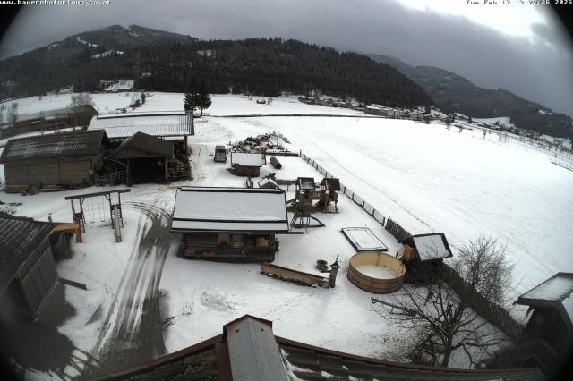 Archiv Foto Webcam Bauernhof Arnoldgut in Altenmarkt