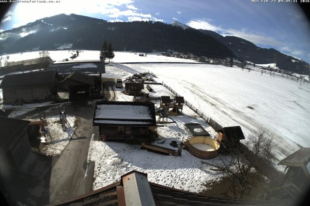 Archived image Webcam Organic farm Arnoldgut in Altenmarkt