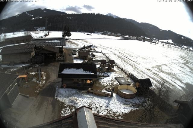 Archived image Webcam Organic farm Arnoldgut in Altenmarkt