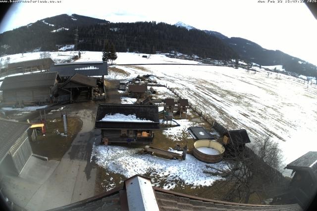 Archived image Webcam Organic farm Arnoldgut in Altenmarkt