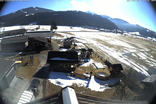 Archiv Foto Webcam Bauernhof Arnoldgut in Altenmarkt