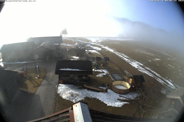 Archived image Webcam Organic farm Arnoldgut in Altenmarkt