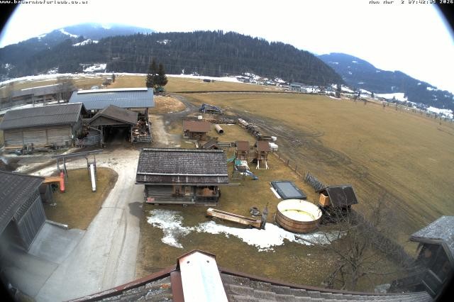 Archiv Foto Webcam Bauernhof Arnoldgut in Altenmarkt