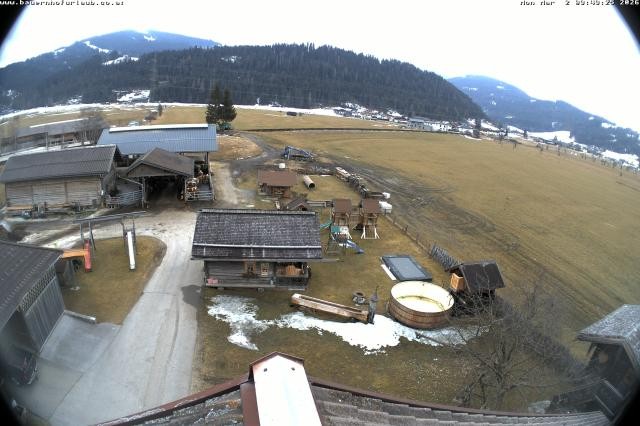 Archiv Foto Webcam Bauernhof Arnoldgut in Altenmarkt