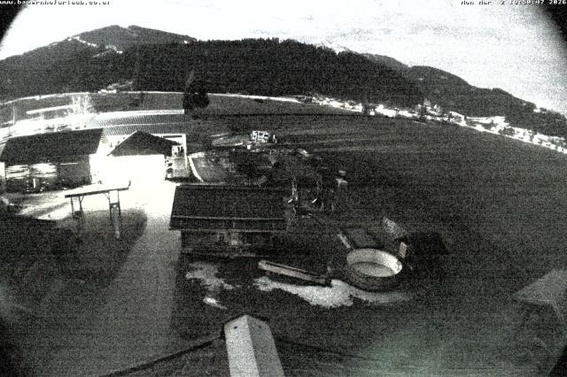 Archiv Foto Webcam Bauernhof Arnoldgut in Altenmarkt