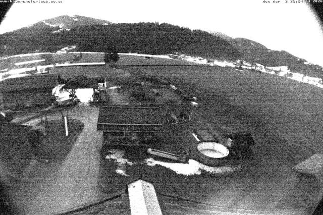 Archiv Foto Webcam Bauernhof Arnoldgut in Altenmarkt