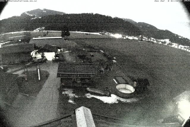 Archiv Foto Webcam Bauernhof Arnoldgut in Altenmarkt