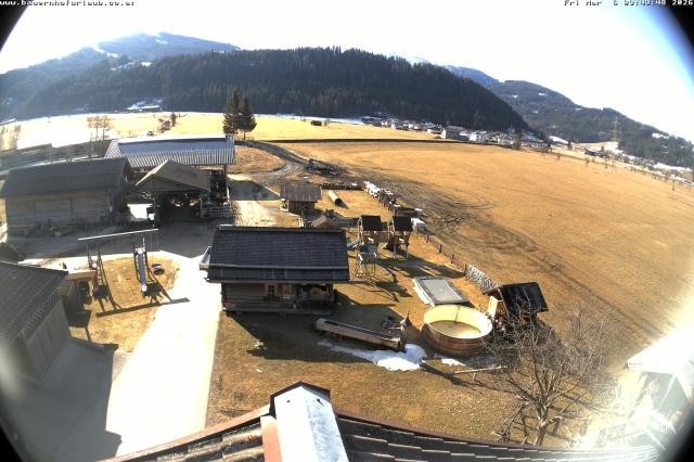 Archiv Foto Webcam Bauernhof Arnoldgut in Altenmarkt