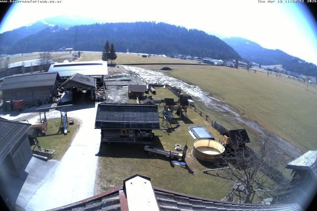 Archiv Foto Webcam Bauernhof Arnoldgut in Altenmarkt
