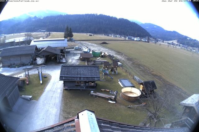 Archived image Webcam Organic farm Arnoldgut in Altenmarkt