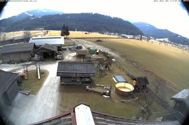 Archived image Webcam Organic farm Arnoldgut in Altenmarkt