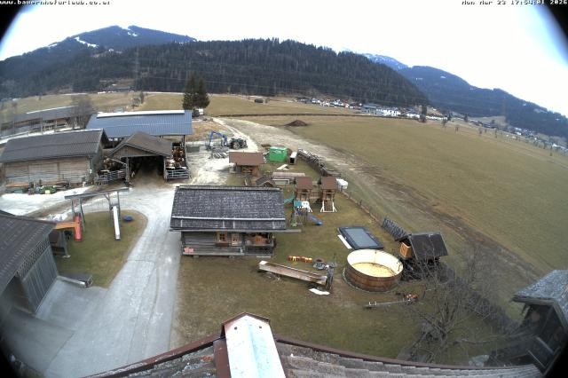 Archiv Foto Webcam Bauernhof Arnoldgut in Altenmarkt