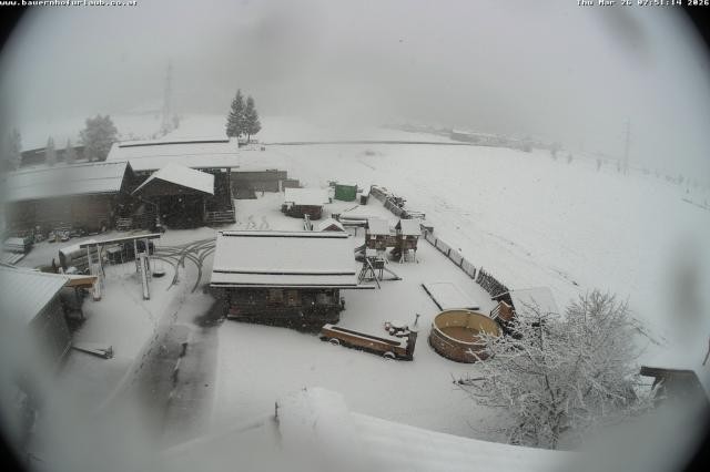 Archiv Foto Webcam Bauernhof Arnoldgut in Altenmarkt
