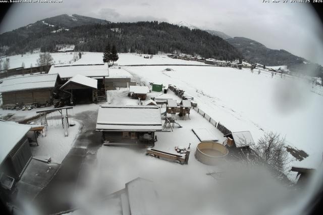 Archived image Webcam Organic farm Arnoldgut in Altenmarkt