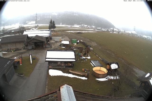 Archiv Foto Webcam Bauernhof Arnoldgut in Altenmarkt