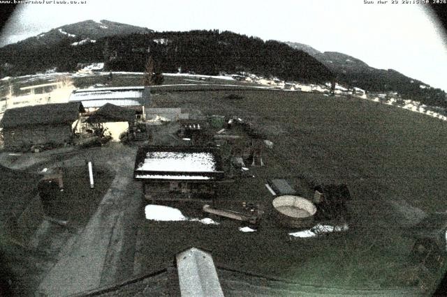 Archiv Foto Webcam Bauernhof Arnoldgut in Altenmarkt