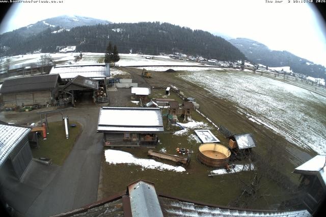 Archiv Foto Webcam Bauernhof Arnoldgut in Altenmarkt