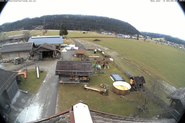 Archiv Foto Webcam Bauernhof Arnoldgut in Altenmarkt